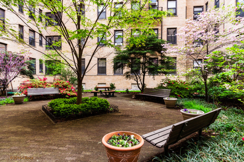 315 St Johns Place, Unit 3D Brooklyn, NY 11238 - Photo 8 of 10