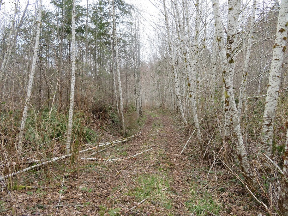 East Mox Chehalis Road McCleary, WA 98557 - Photo 17 of 29 Gallery Image 17