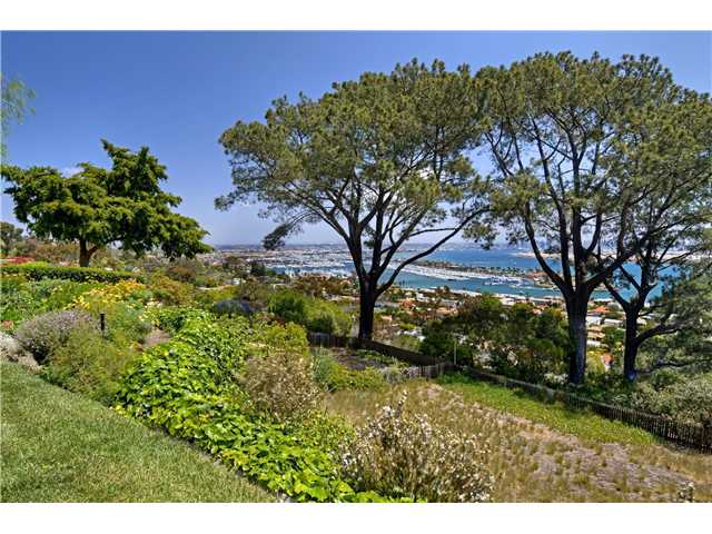3311 Kellogg Way San Diego, CA 92106 - Photo 16 of 25 Huge yard...for a pool? guest house? your choice!
