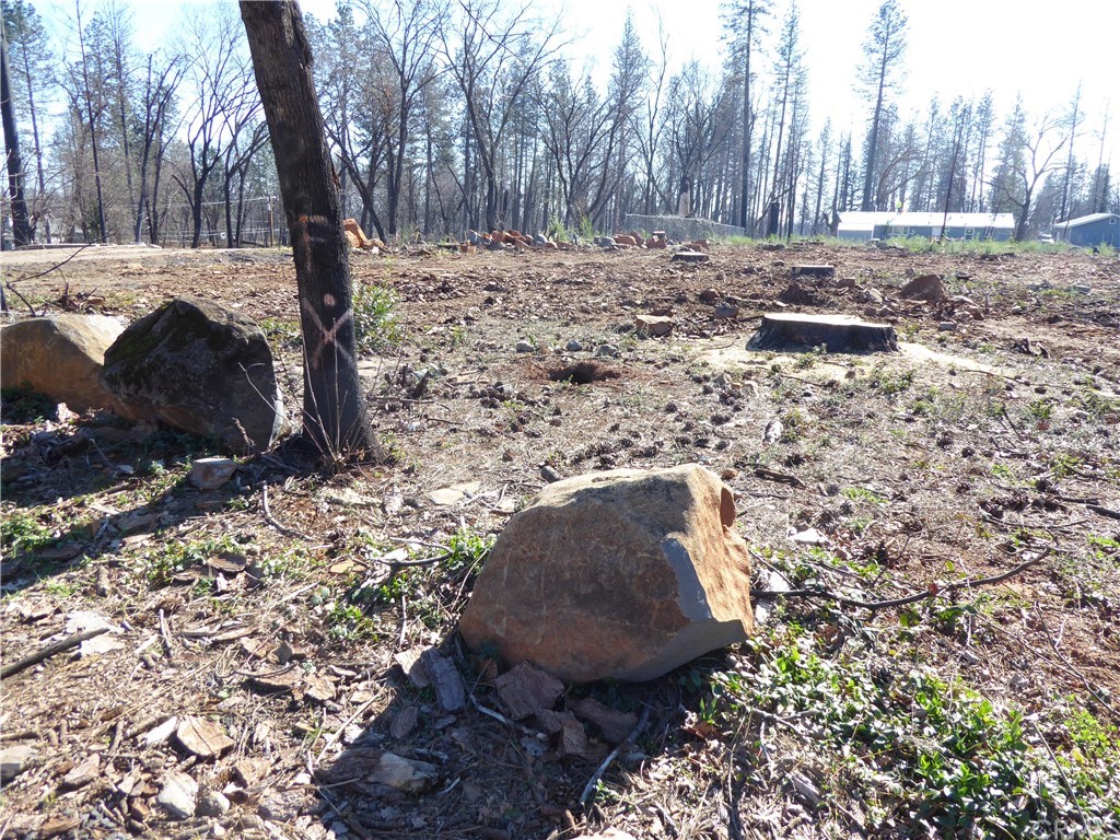 866 Central Park Drive Paradise, CA 95969 - Photo 4 of 10