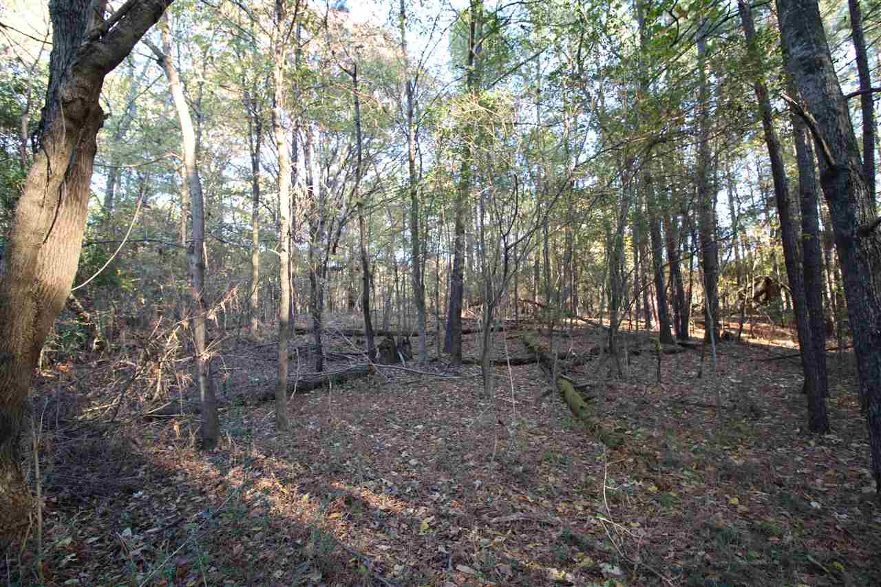 1086 Dent Road Eads, TN 38028 - Photo 10 of 24 Gallery Image 10