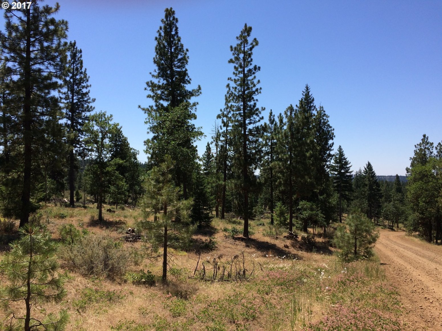 Loop Road Goldendale, WA 98620 - Photo 2 of 28 Gallery Image 2