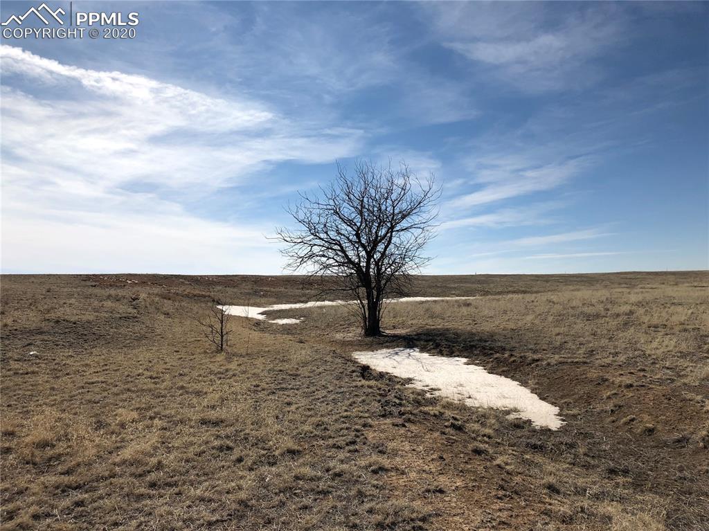 1 Johnson Road Rush, CO 80833 - Photo 24 of 25