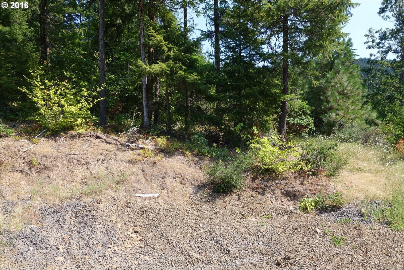 Vista Ridge Road, Unit 4 White Salmon, WA 98672 - Photo 4 of 10 Gallery Image 4