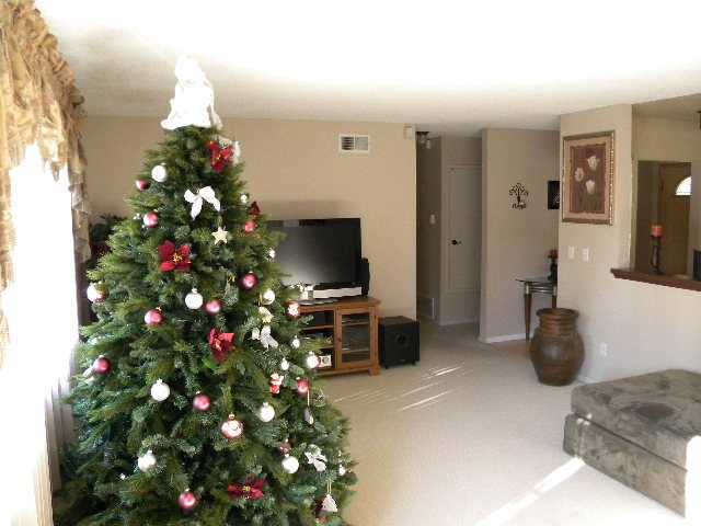 8343 Mesa View Way Spring Valley, CA 91977 - Photo 9 of 22 Gallery Image 9