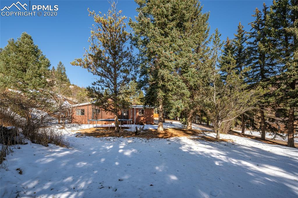 8715 Chipita Park Road Cascade, CO 80809 - Photo 4 of 33 Lots of privacy and trees on the lot