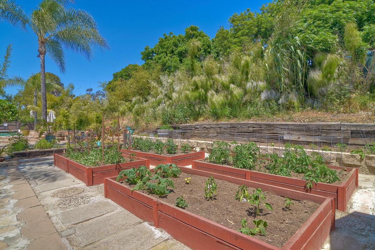1373 Burgundy Road Encinitas, CA 92024 - Photo 23 of 25