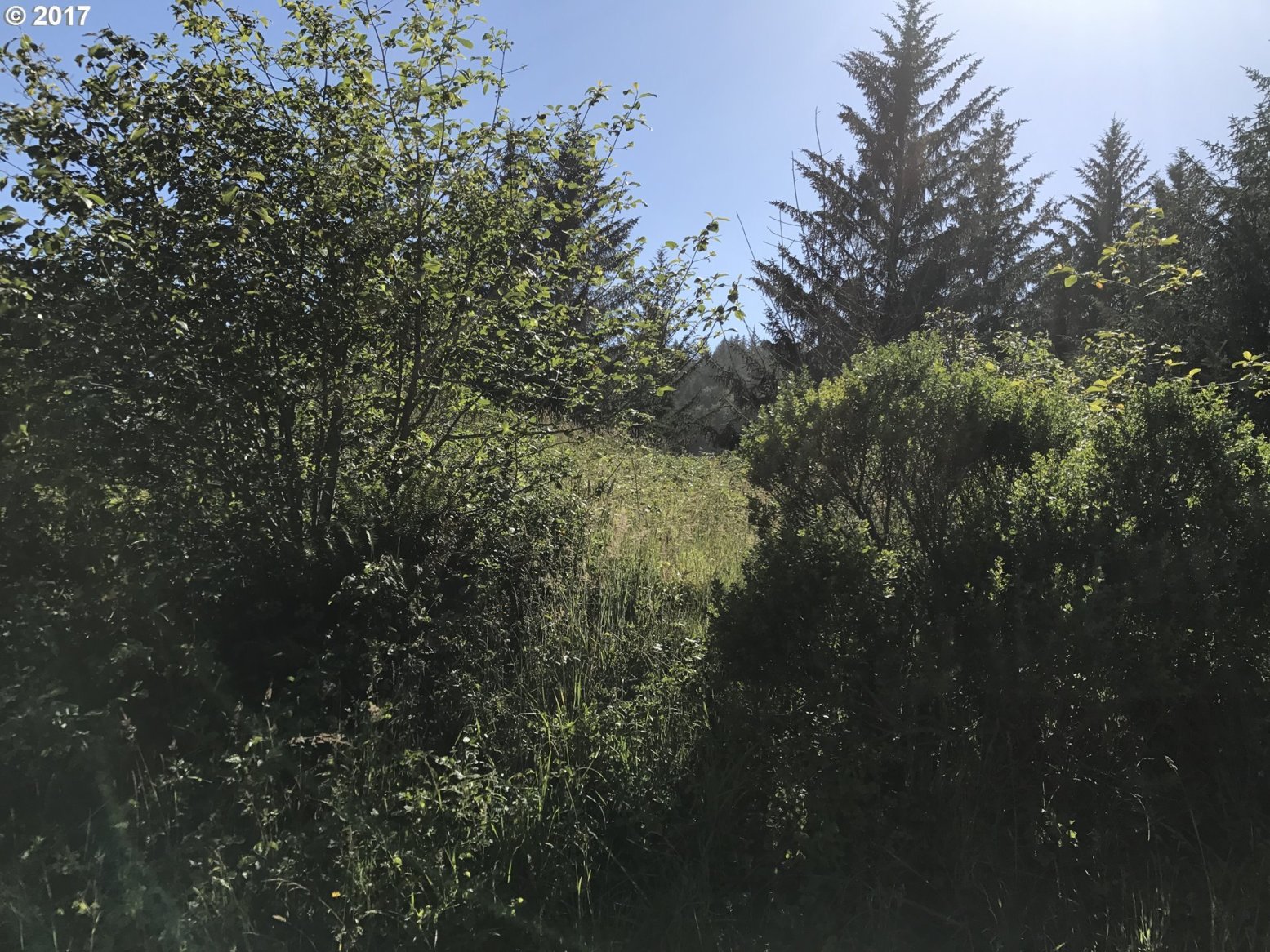 Whaleshead Road, Unit 500 Brookings, OR 97415 - Photo 17 of 17