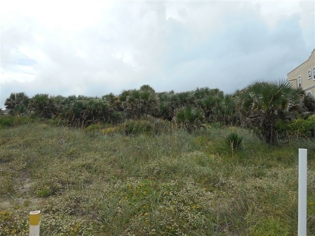 9105 Old A1a South St. Augustine, FL 32080 - Photo 14 of 18