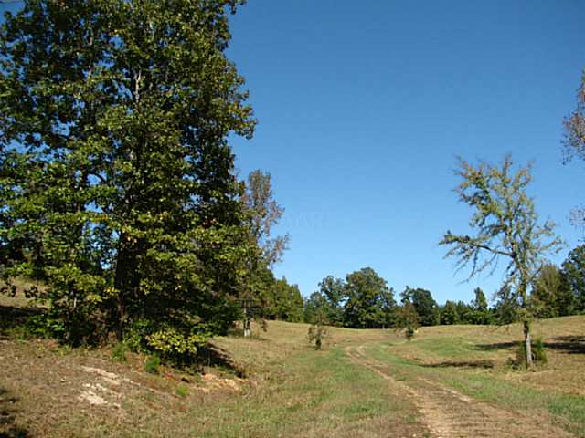 3 Riva Ridge Road Savannah, TN 38372 - Photo 8 of 16