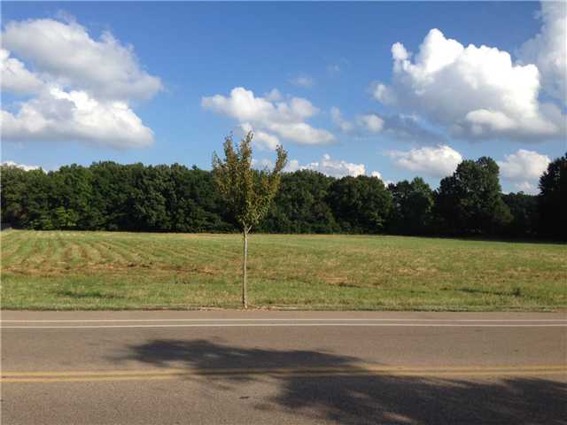 0 Paul Jones Road Eads, TN 38028 - Photo 2 of 2 Gallery Image 2