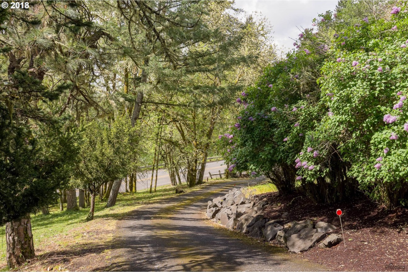 35781 Camp Creek Road Springfield, OR 97478 - Photo 11 of 32