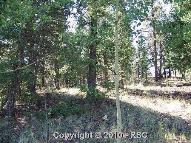130 Agate Road Florissant, CO 80816 - Photo 1 of 7 A lot of aspens mixed with pines