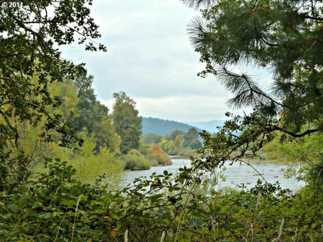 1148 Curry Road Roseburg, OR 97471 - Photo 3 of 16 Gallery Image 3