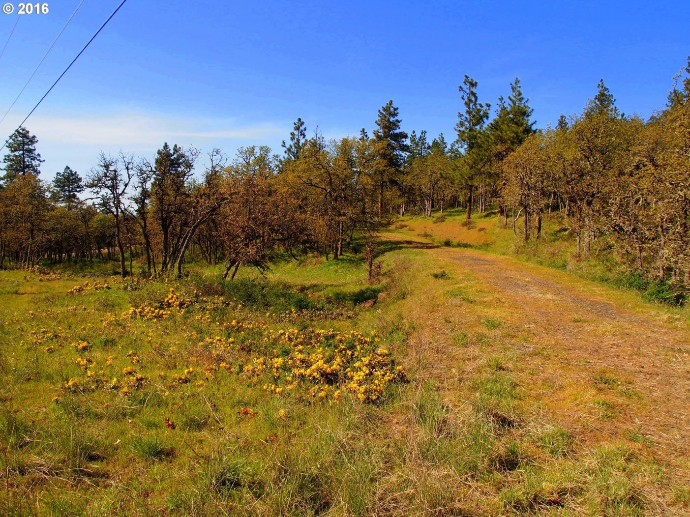 2320 7 Mile High Road The Dalles, OR 97058 - Photo 12 of 15 Gallery Image 12