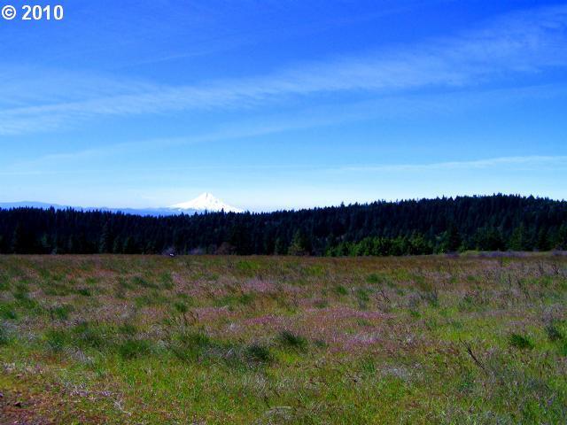 Meadows Loop Lyle, WA 98635 - Photo 3 of 6 Gallery Image 3