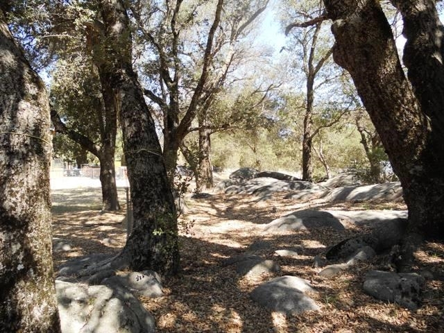4020 Ritchie Road Santa Ysabel, CA 92070 - Photo 19 of 25