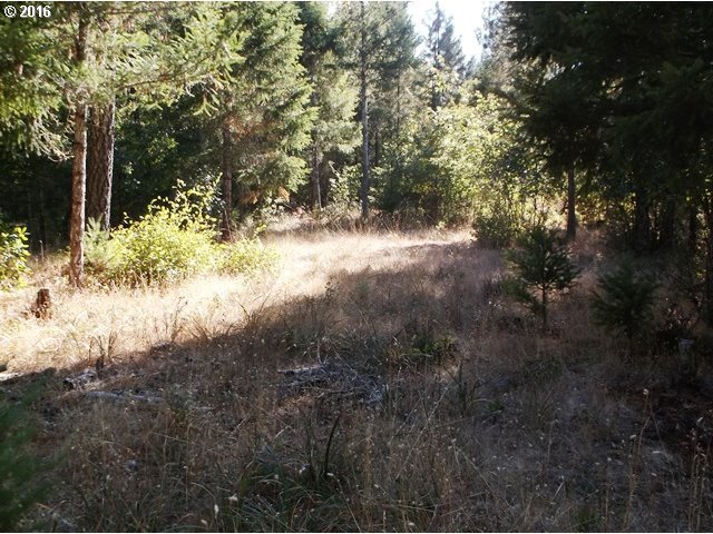 420 Sherier Road Cave Junction, OR 97523 - Photo 7 of 21