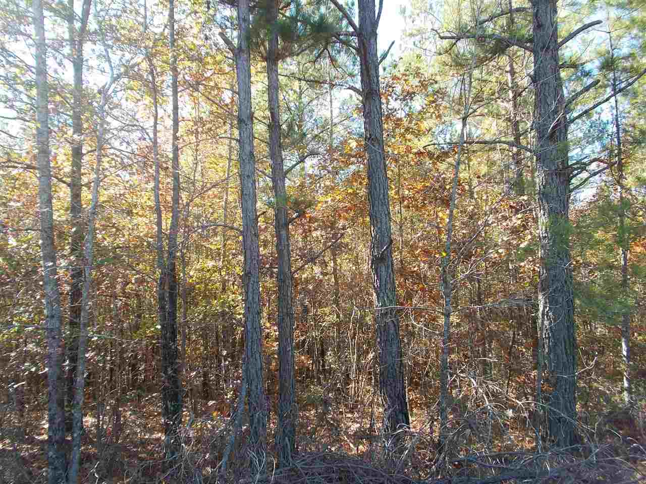 2411 South Gin Road Ramer, TN 38367 - Photo 12 of 15 Gallery Image 12