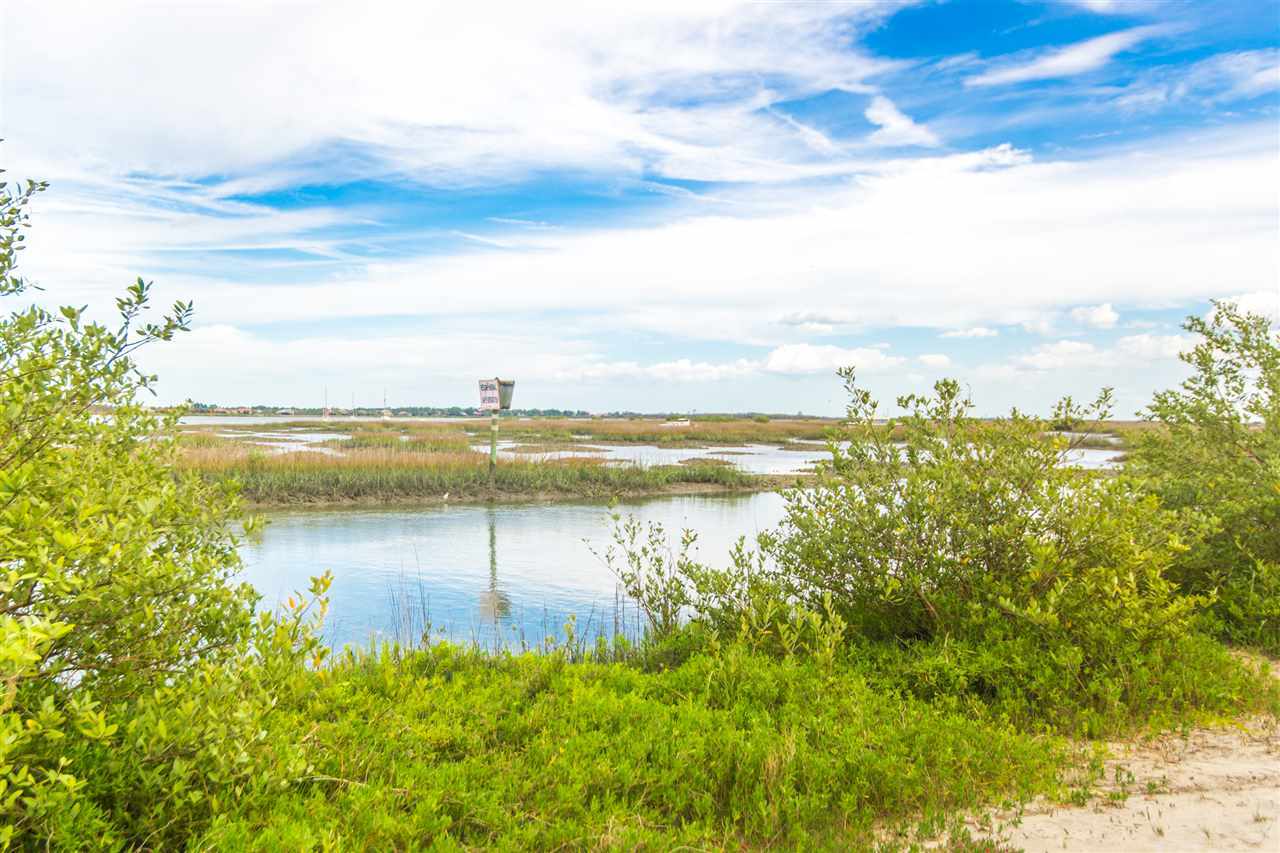 267 Cornell Road St. Augustine, FL 32086 - Photo 39 of 42