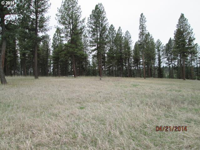 58521 Flevious Road La Grande, OR 97850 - Photo 3 of 5 Gallery Image 3