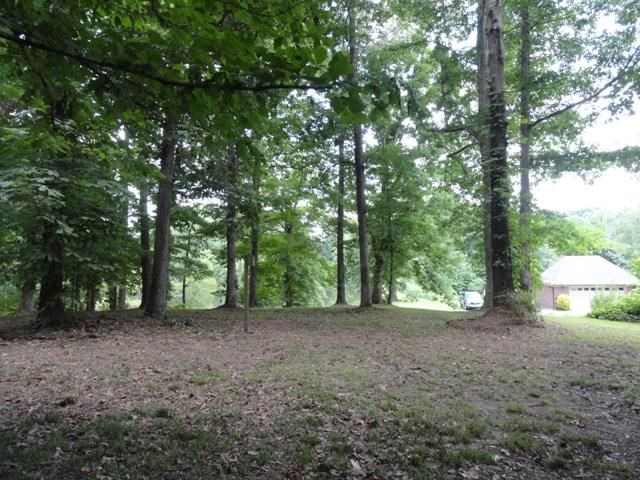 227 Hayes Road Munford, TN 38058 - Photo 19 of 20 Gallery Image 19