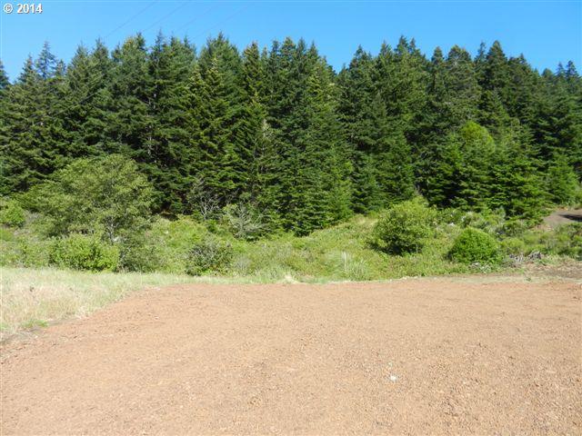 Hume Road, Unit 2 Gold Beach, OR 97444 - Photo 2 of 16 Gallery Image 2