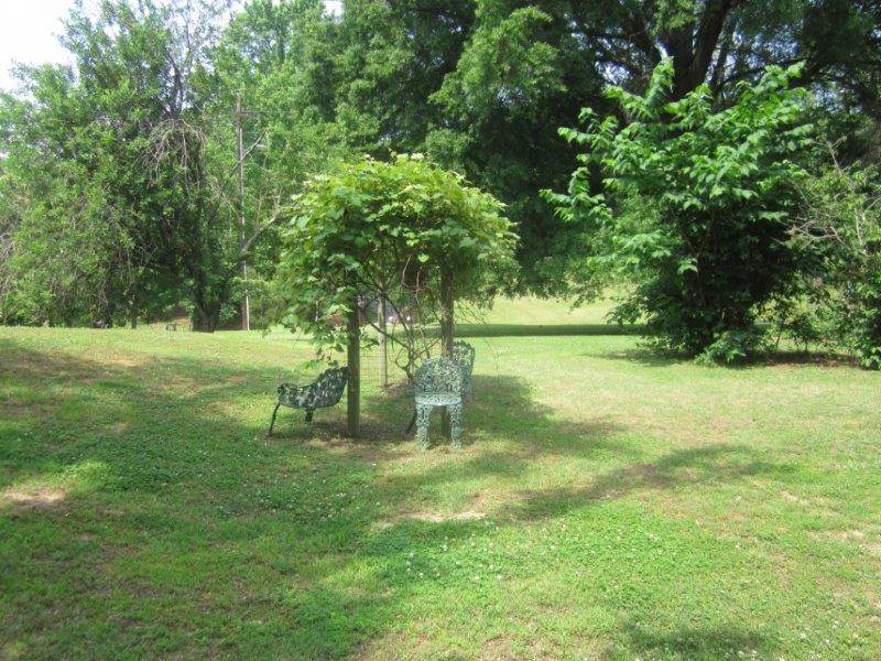 439 Cedar Grove Rd Extension Ripley, TN 38063 - Photo 12 of 14