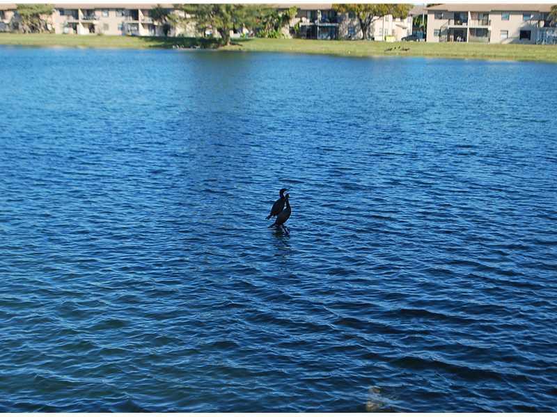 2463 West 65th Street Hialeah, FL 33016 - Photo 11 of 11