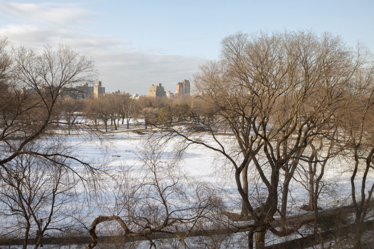 1165 5th Avenue, Unit 5B Manhattan, NY 10029 - Photo 13 of 14