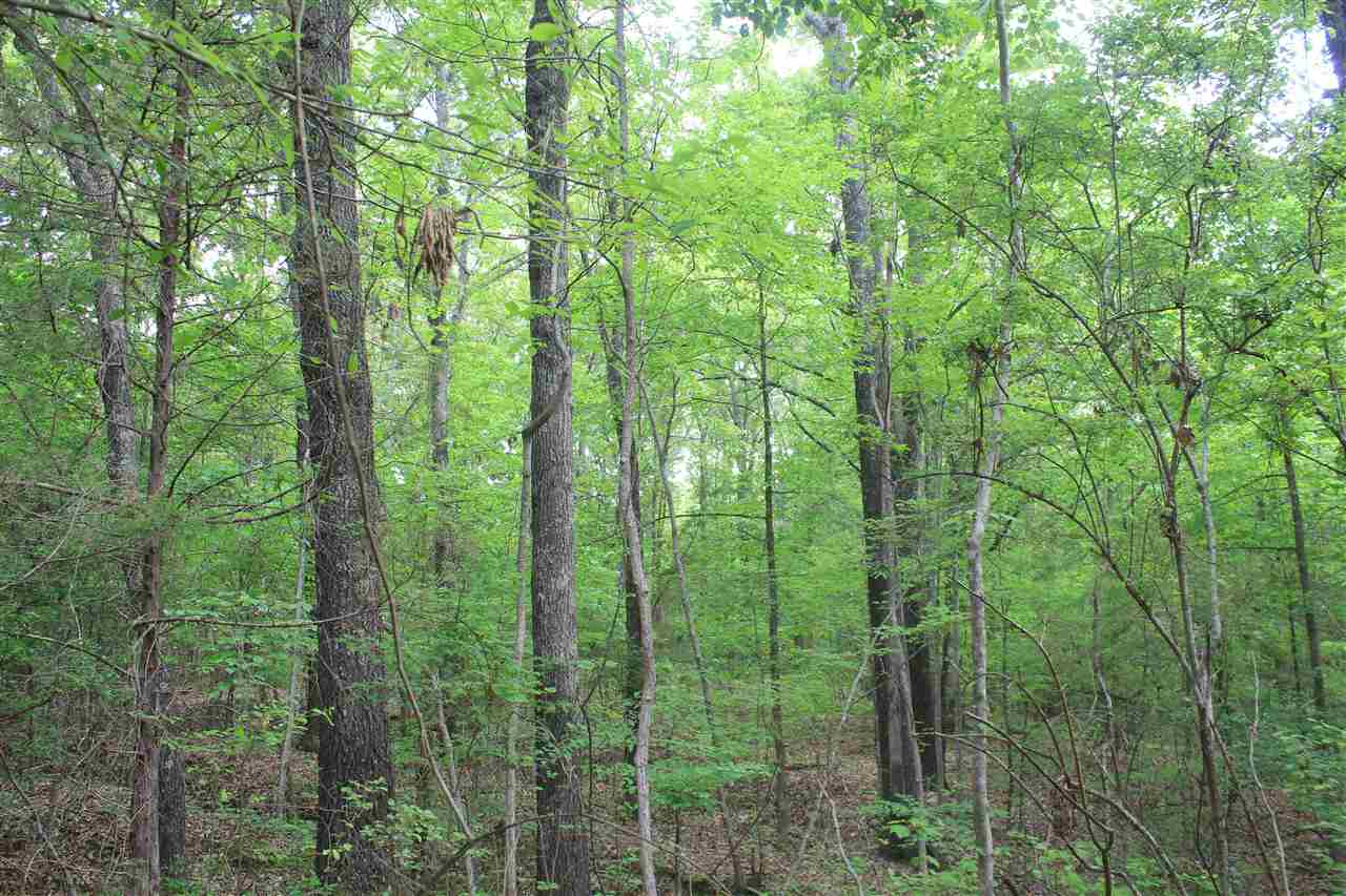 201 Davis Road Byhalia, MS 38611 - Photo 20 of 24 Gallery Image 20