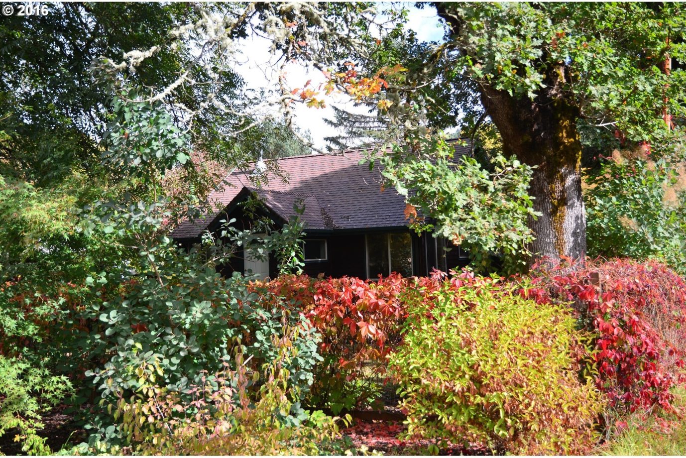 933 Curtin Road Cottage Grove, OR 97424 - Photo 18 of 30