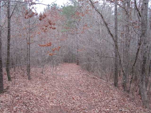 1 Sawmill Road Potts Camp, MS 38659 - Photo 5 of 20 Gallery Image 5