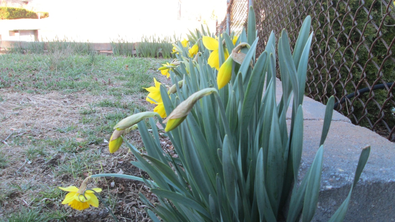 26 Dolphin Road East Quogue, NY 11942 - Photo 18 of 25