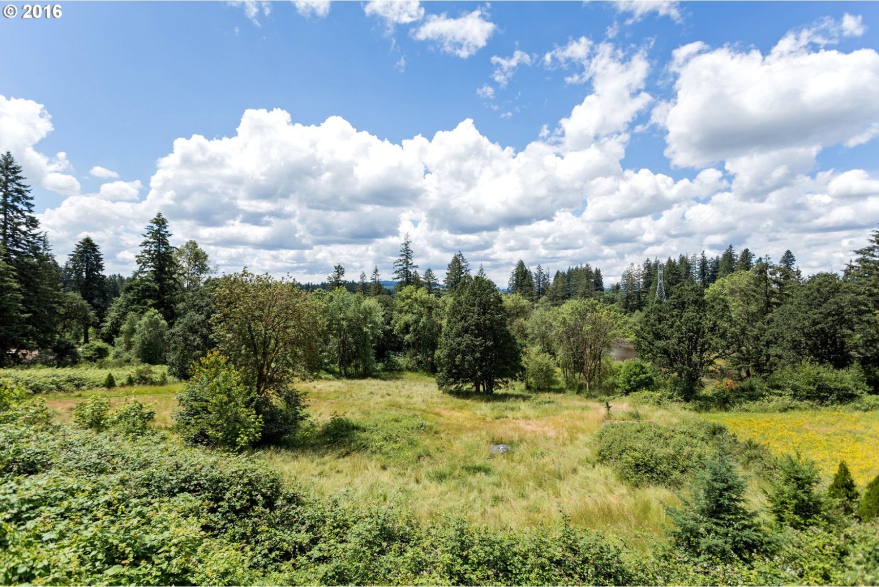 24305 Southwest Boones Ferry Road Tualatin, OR 97062 - Photo 8 of 32 Gallery Image 8