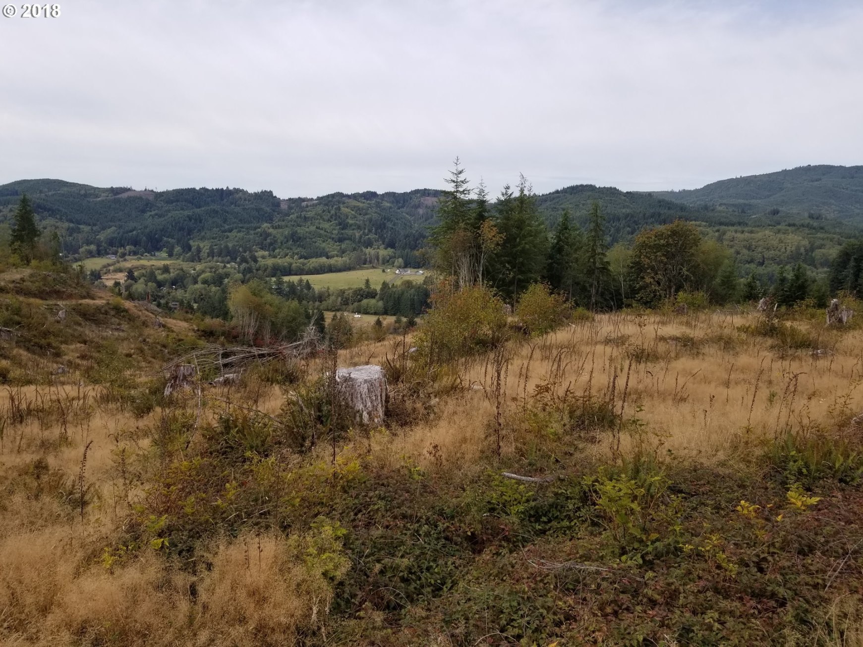 Elochoman Valley Cathlamet, WA 98612 - Photo 25 of 26