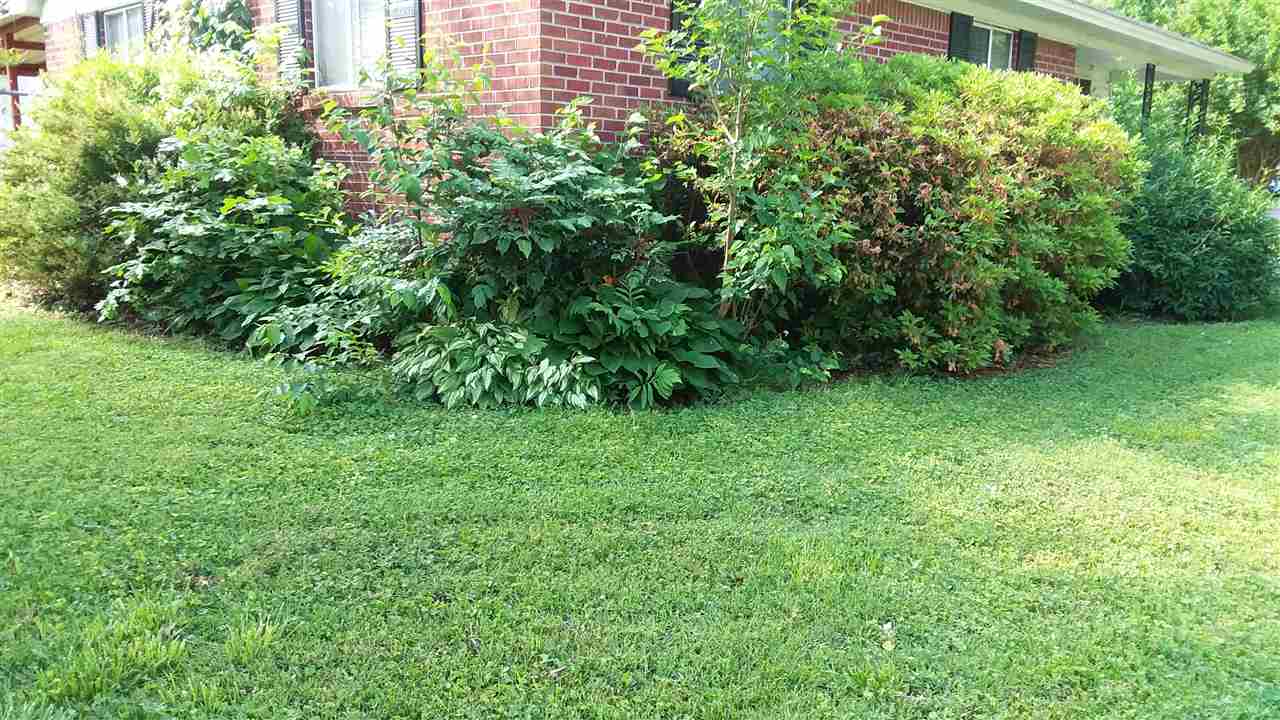 1050 Wilmore Road Memphis, TN 38117 - Photo 3 of 13 Gallery Image 3