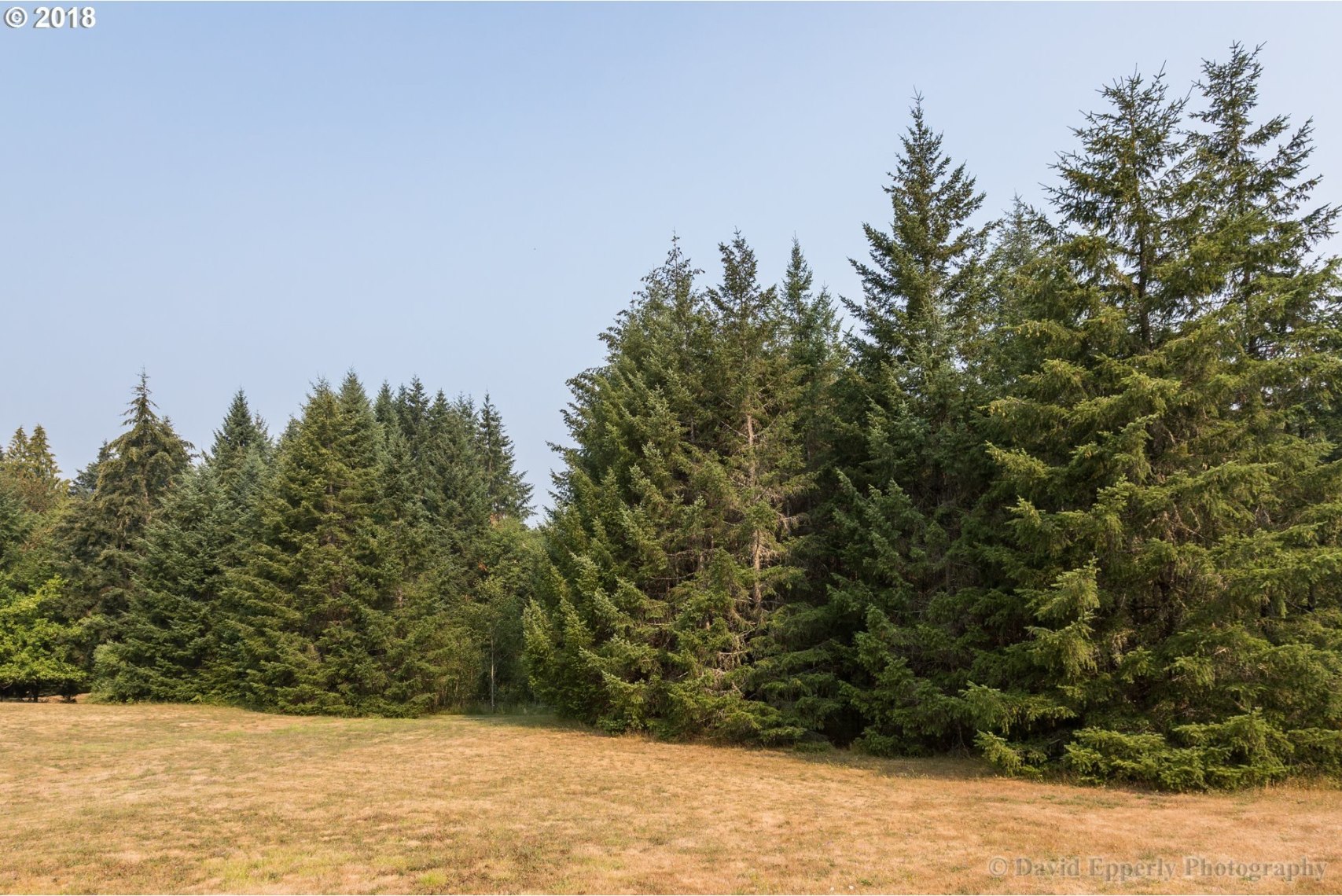 56585 Mollenhour Road Scappoose, OR 97056 - Photo 29 of 29 Gallery Image 29