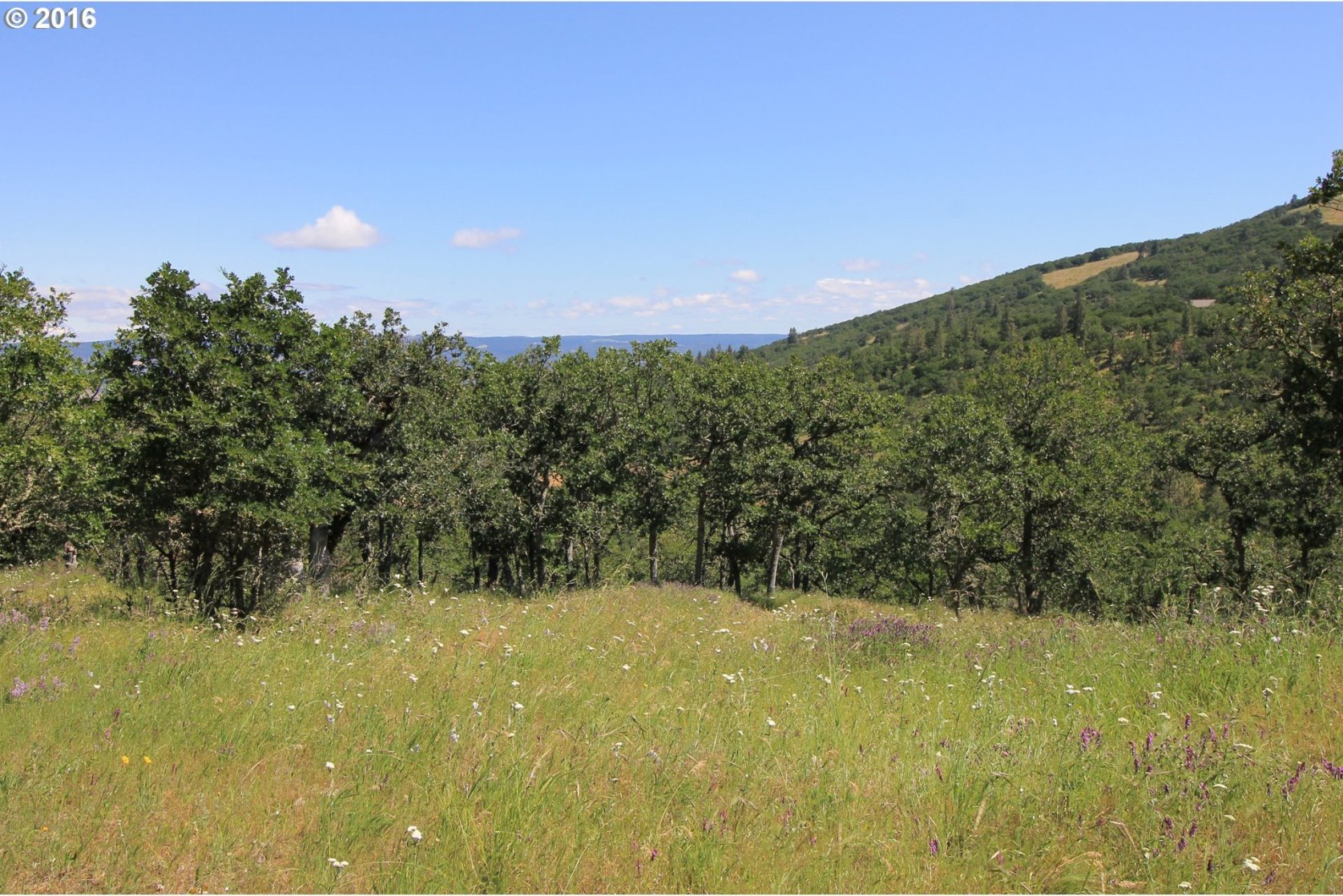 Del Vista Mosier, OR 97040 - Photo 13 of 31 Gallery Image 13