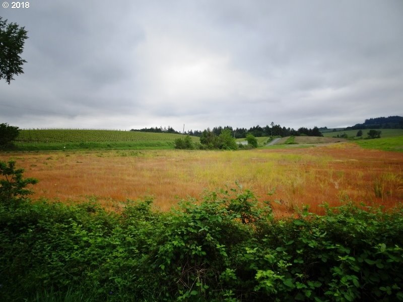 Lone Star Road Salem, OR 97304 - Photo 7 of 25 Gallery Image 7
