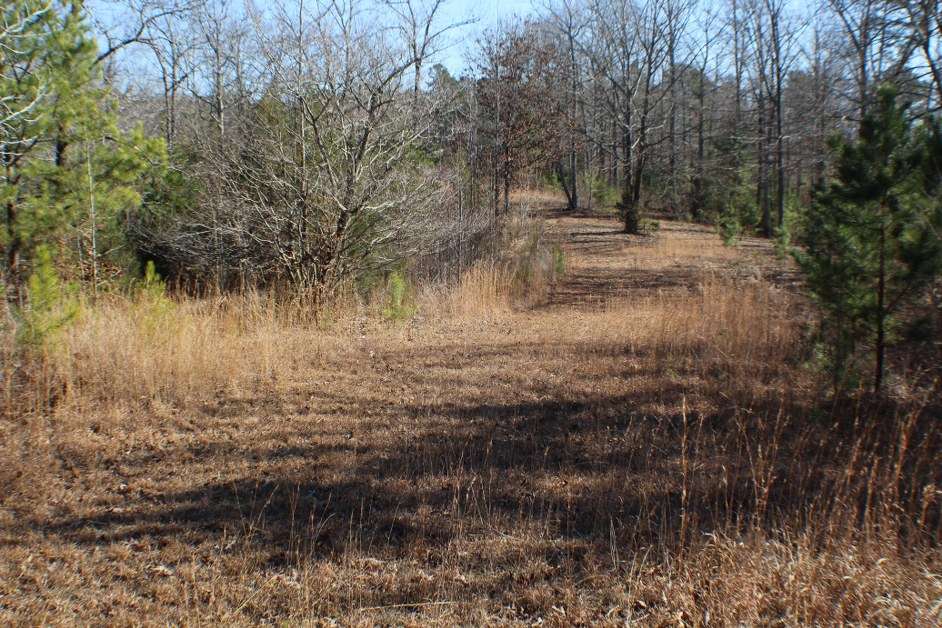 803 Bud Long Road Selmer, TN 38375 - Photo 19 of 25 Gallery Image 19