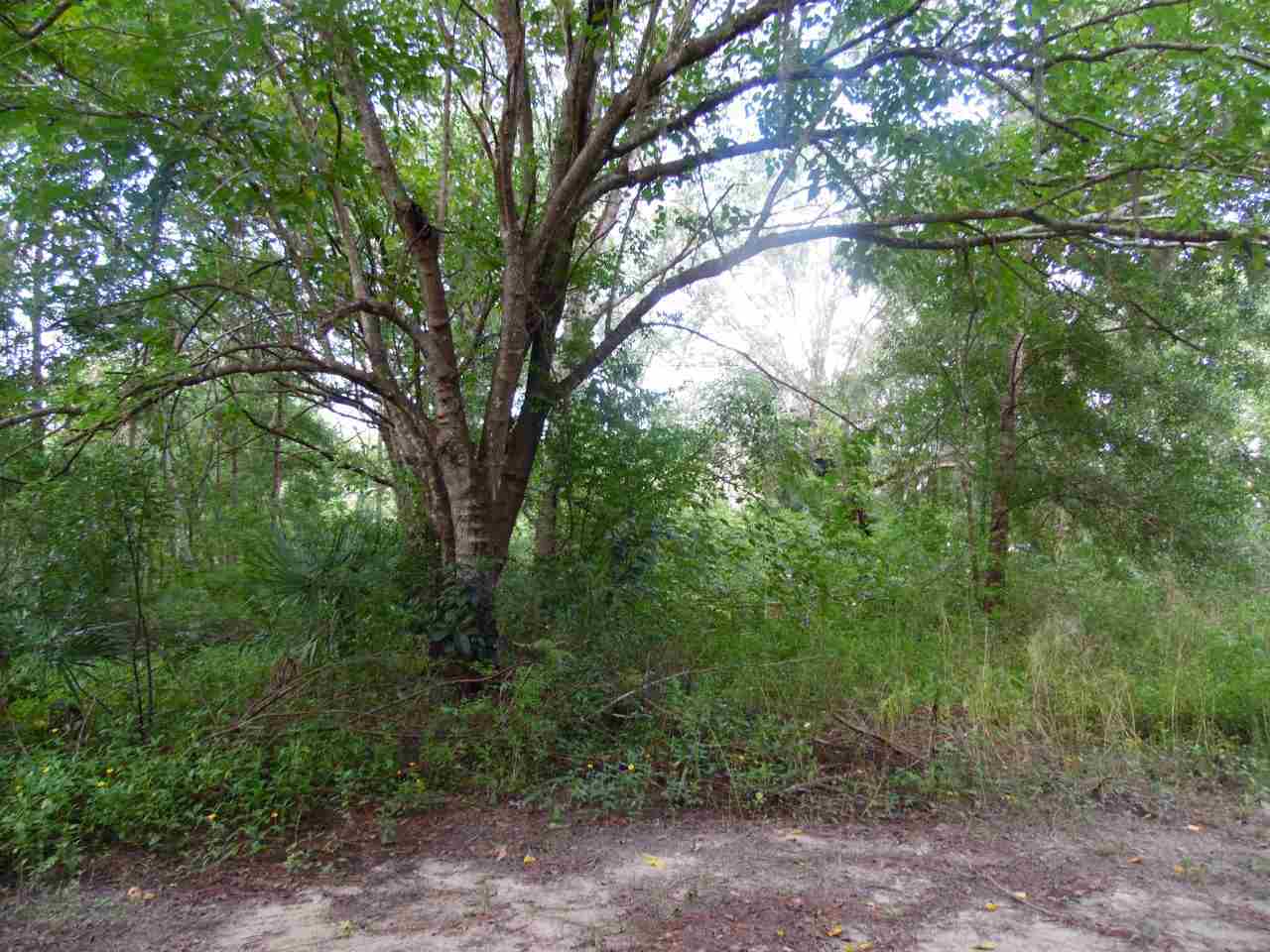 5215-5235 Kelly Road Hastings, FL 32145 - Photo 1 of 9 Gallery Image 1
