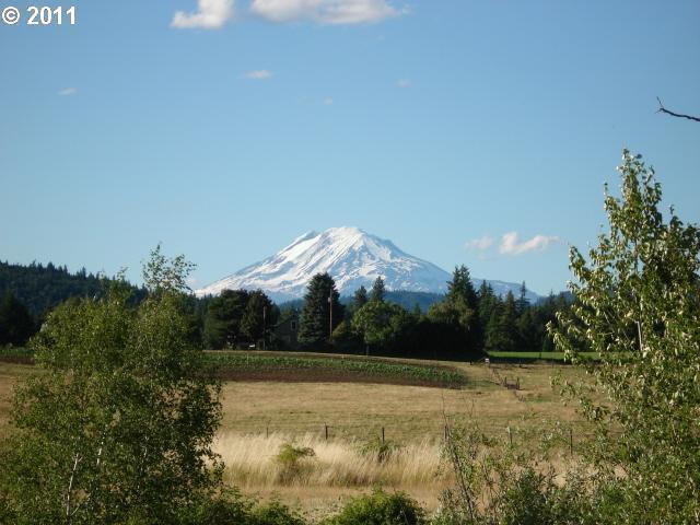 Teel Road White Salmon, WA 98672 - Photo 1 of 7 Gallery Image 1