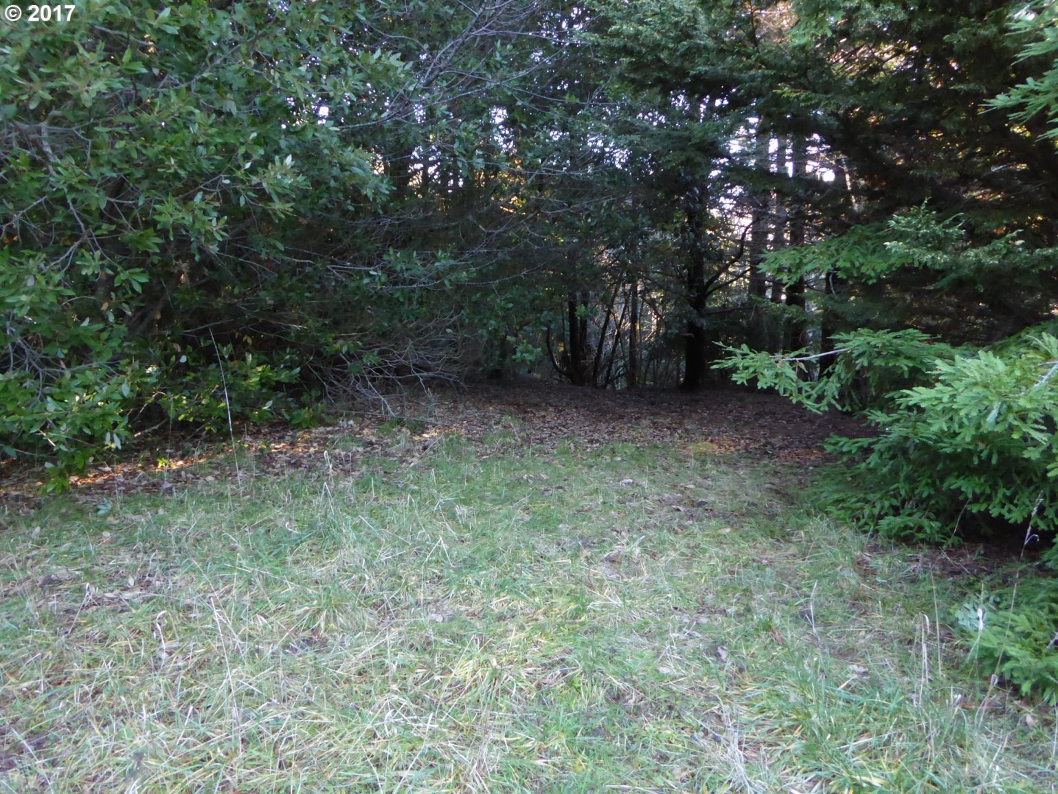 2727 Port Orford Loop Road Port Orford, OR 97465 - Photo 25 of 27 Gallery Image 25