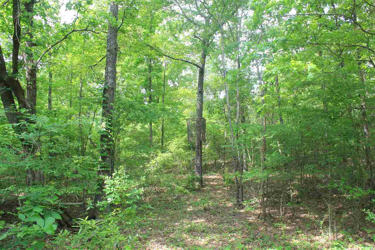 201 Davis Road Byhalia, MS 38611 - Photo 14 of 24 Gallery Image 14