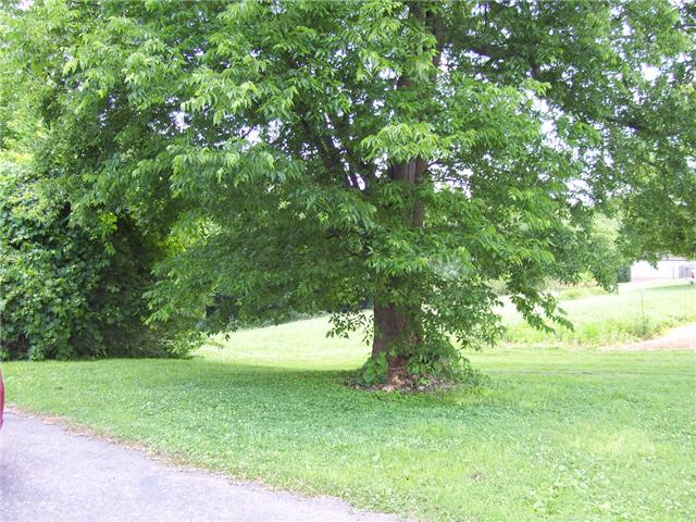309 Connell Street Springfield, TN 37172 - Photo 5 of 22 Large trees enhance this home