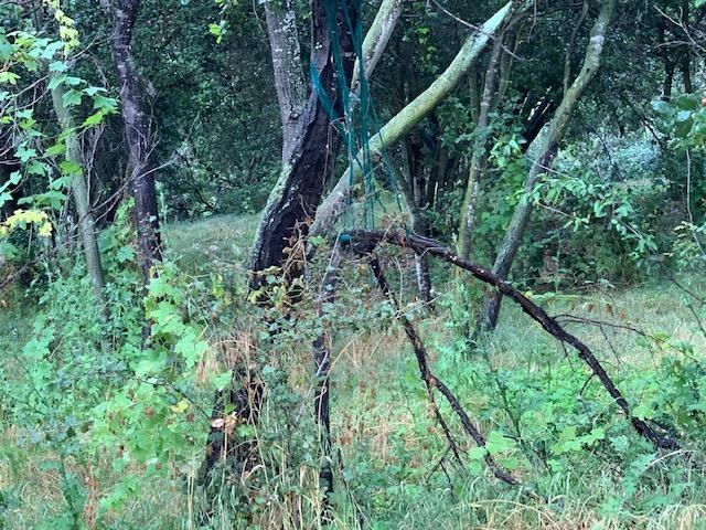 Camino Rainbow Fallbrook Ca Fallbrook, CA 92028 - Photo 15 of 25