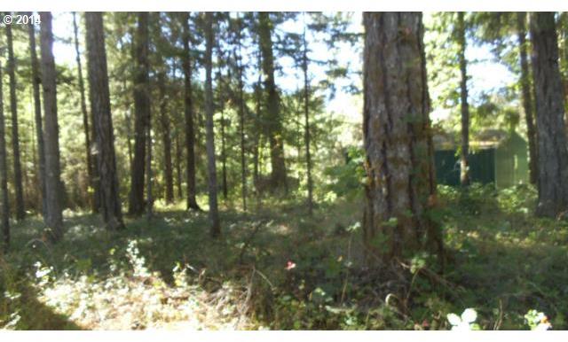 7974 Melqua Road Umpqua, OR 97486 - Photo 8 of 16 Gallery Image 8