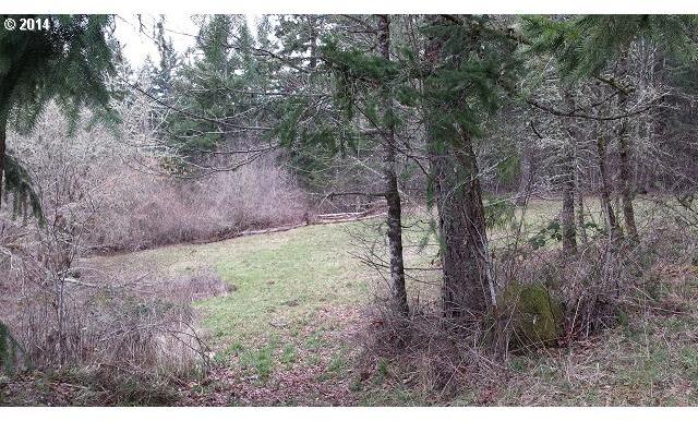 39825 Southwest Lasalle Road Gaston, OR 97119 - Photo 4 of 12