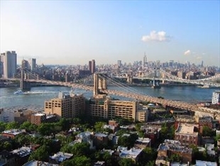 45 Pineapple Street, Unit 7B Brooklyn, NY 11201 - Photo 5 of 5